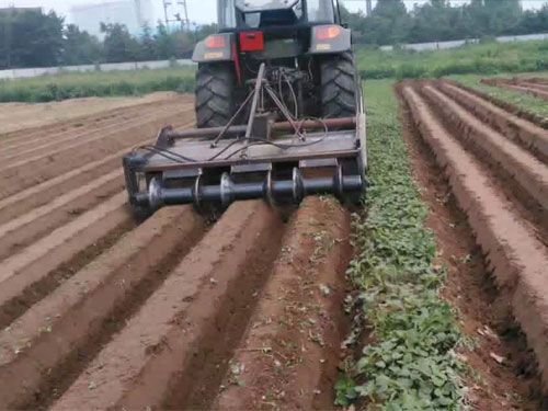 胡蘿卜專(zhuān)用起壟機(jī)